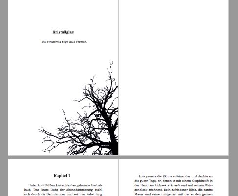 GF - Buchsatz Entwurf